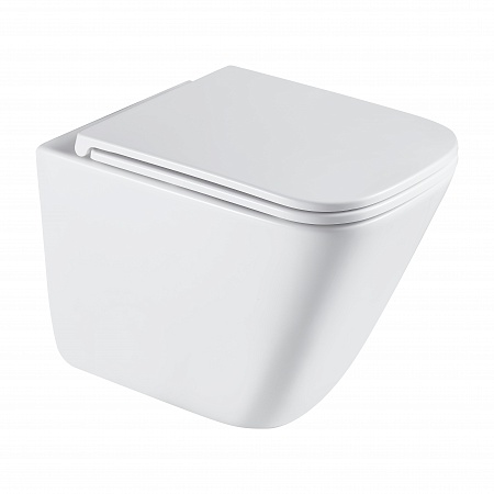 Подвесной унитаз безободковый Terminus Ватикан Monolit 490х340 белый Салават - фото 2