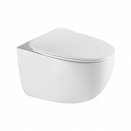 Подвесной унитаз безободковый Terminus Енисей Monolit 560х390 белый Салават - фото 2