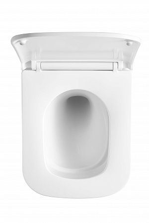 Подвесной унитаз безободковый Terminus Ватикан Monolit 490х340 белый Салават - фото 3